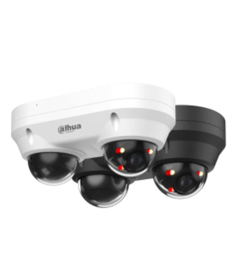 IPC-HDBW2449F-AS-E2-IL